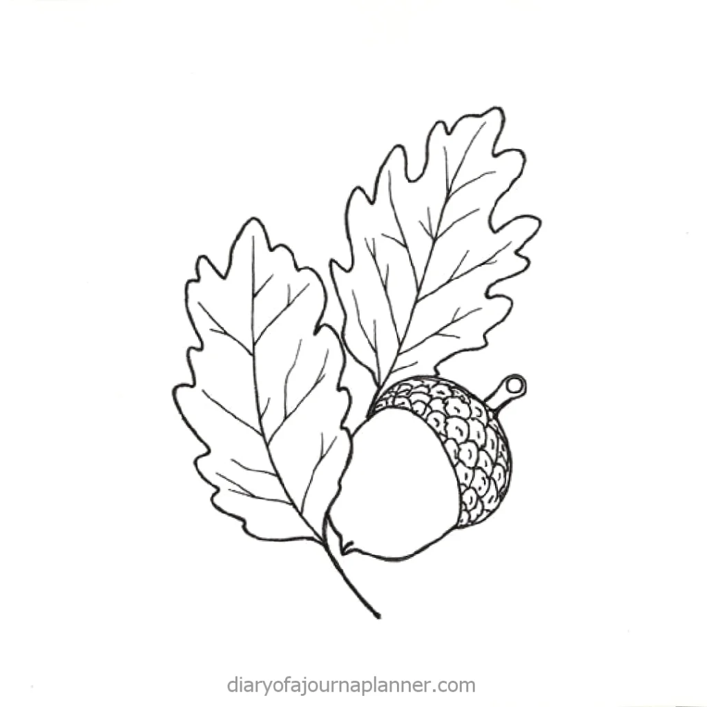 Illustration of an acorn with two oak leaves, black and white line drawing for fall and nature-themed designs.