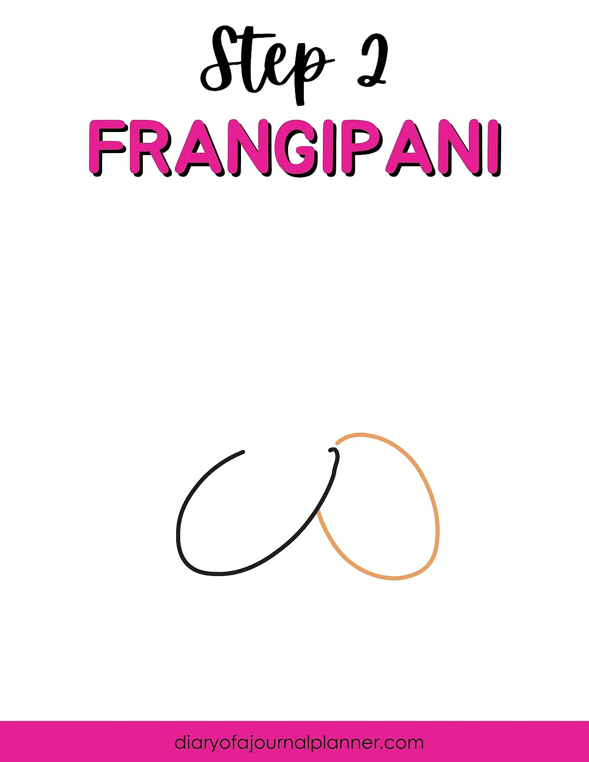 Step 2: Frangipani drawing guide with two overlapping oval outlines. Learn how to draw frangipani flowers easily.