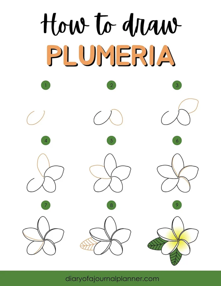 Step-by-step guide on how to draw a plumeria flower, showing nine stages from outline to coloring.