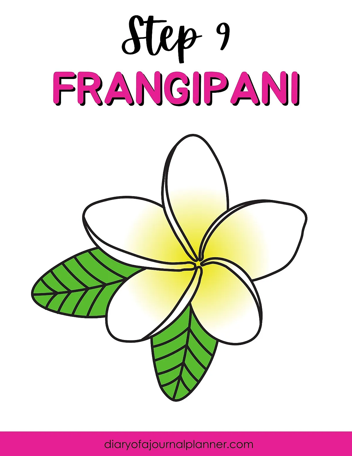 Illustration of a frangipani flower with green leaves titled Step 9 Frangipani from diaryofajournalplanner.com.