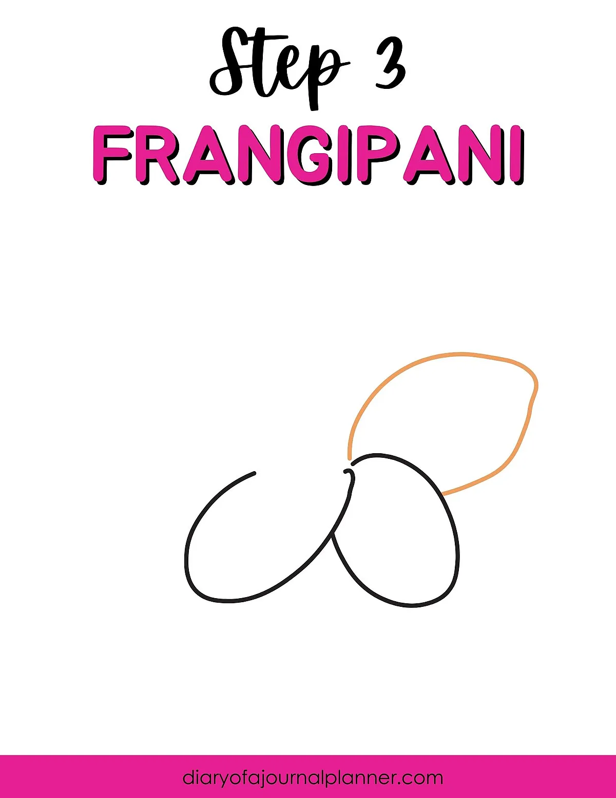 Step 3 drawing frangipani flower guide with outlines and instructions by diaryofajournalplanner.com