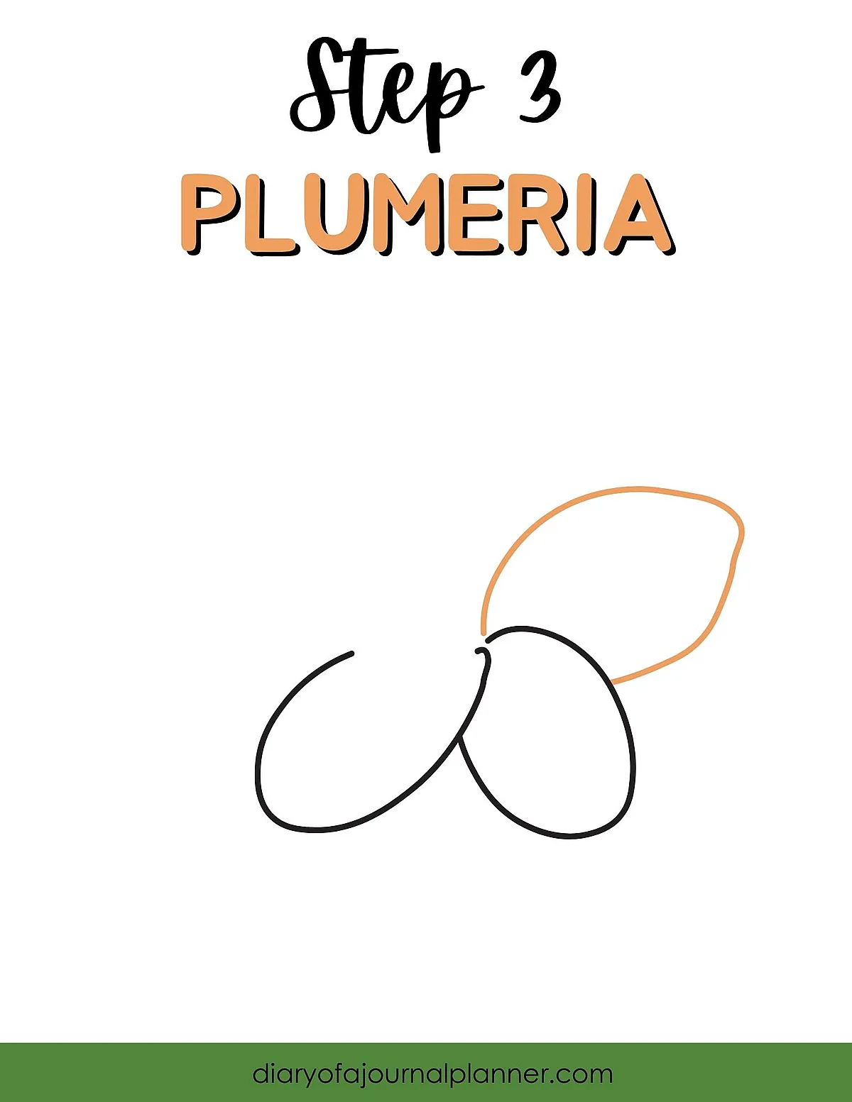 Step 3: Drawing Plumeria flower outline - simple floral sketch tutorial.