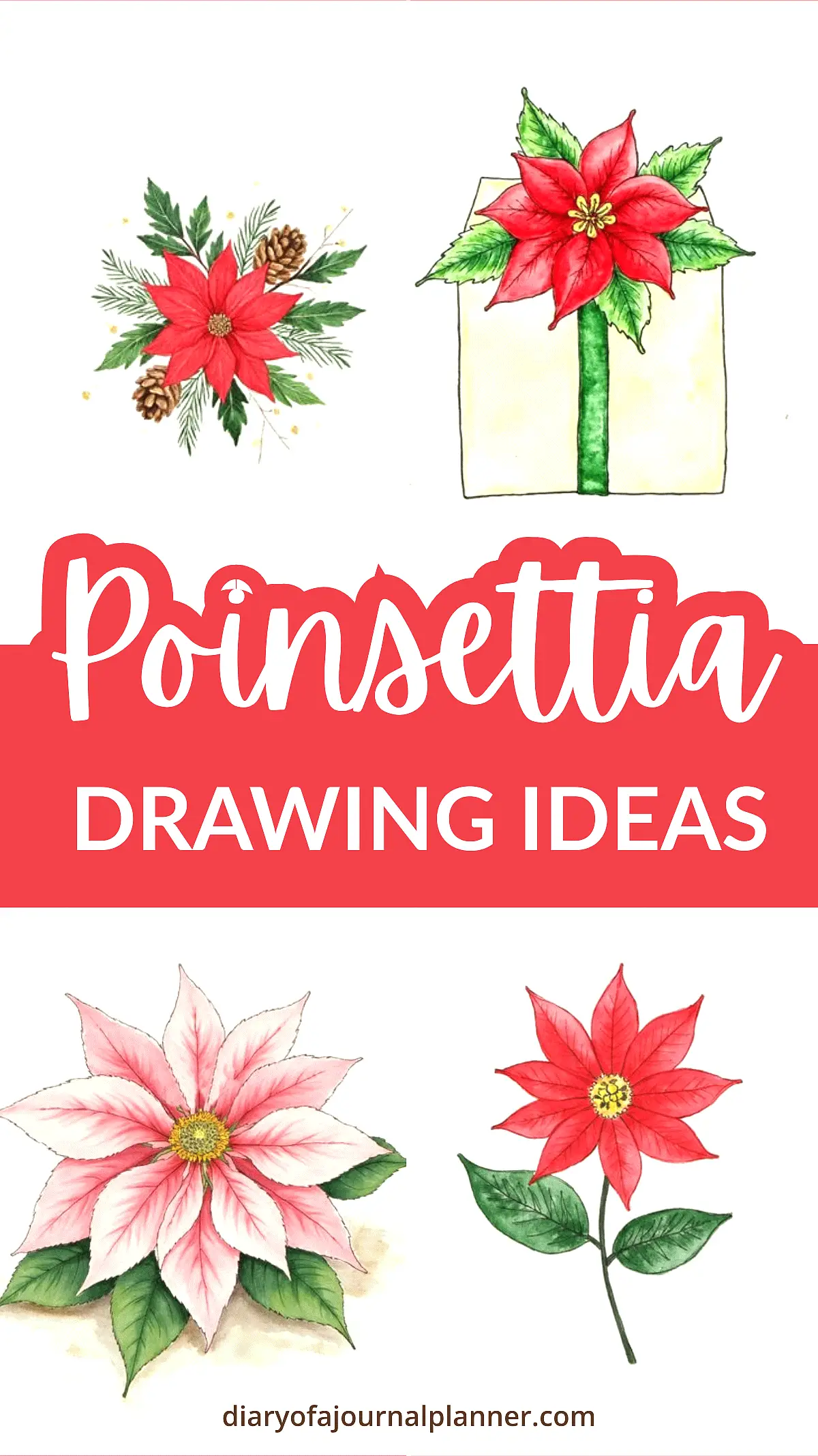 Illustrated poinsettia drawing ideas featuring vibrant red blooms and festive designs.