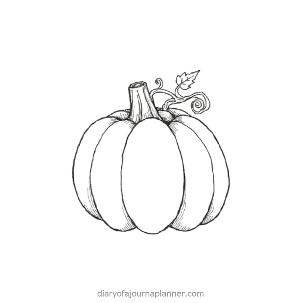 Black and white pumpkin sketch with vine details, ideal for autumn, Halloween, or Thanksgiving themed designs.