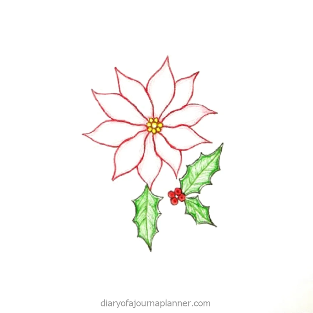 Hand-drawn poinsettia with holly leaves, perfect for Christmas celebrations and festive decorations.