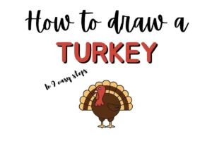 Guide to drawing a turkey in 9 simple steps. Ideal for beginner illustrators and artists.