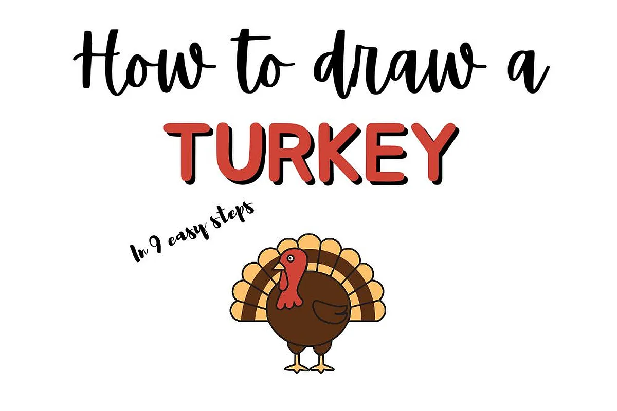 Guide to drawing a turkey in 9 simple steps. Ideal for beginner illustrators and artists.