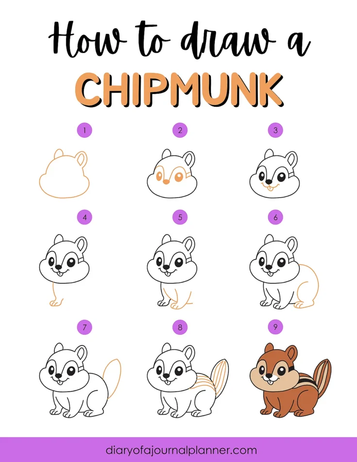 Step-by-step guide on drawing a chipmunk, featuring nine illustrated steps for beginners.