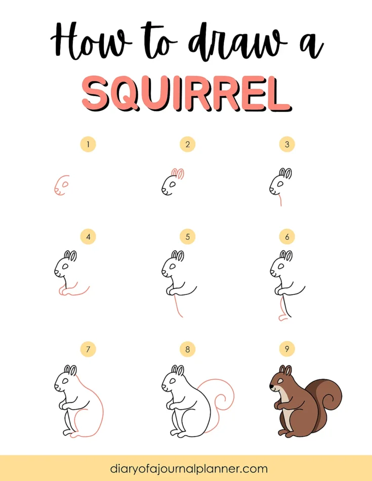 Step-by-step guide on how to draw a cute squirrel in 9 easy stages.