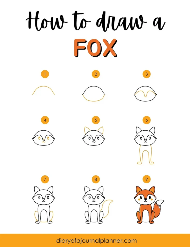 Step-by-step guide on how to draw a cute fox, from basic shapes to a complete illustration.
