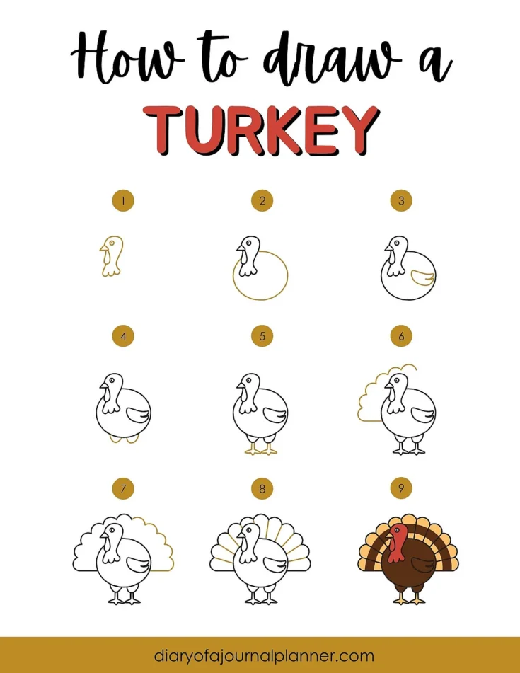 Step-by-step guide showing how to draw a turkey, from outline to a colored, completed illustration.