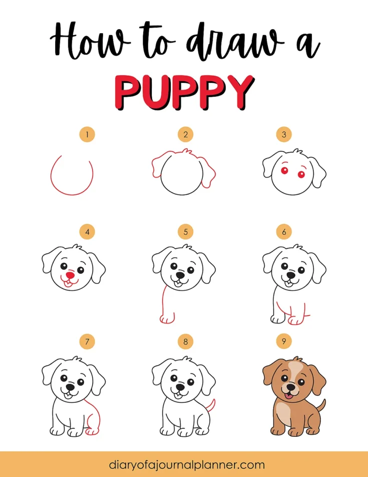 Step-by-step guide on drawing a cute puppy with simple instructions and illustrations.