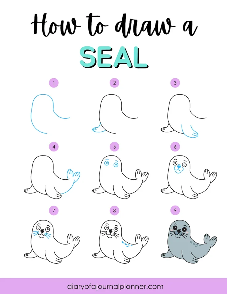 Step-by-step seal drawing guide with 9 illustrated stages for beginners.