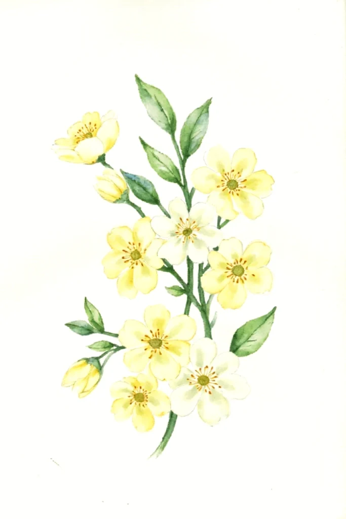 Delicate watercolor painting of yellow and white flowers with green leaves on a white background.
