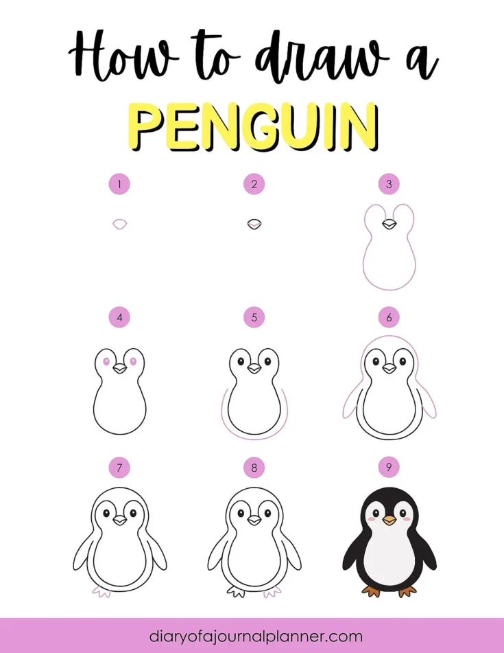Step-by-step guide to drawing a cute penguin illustration for beginners.