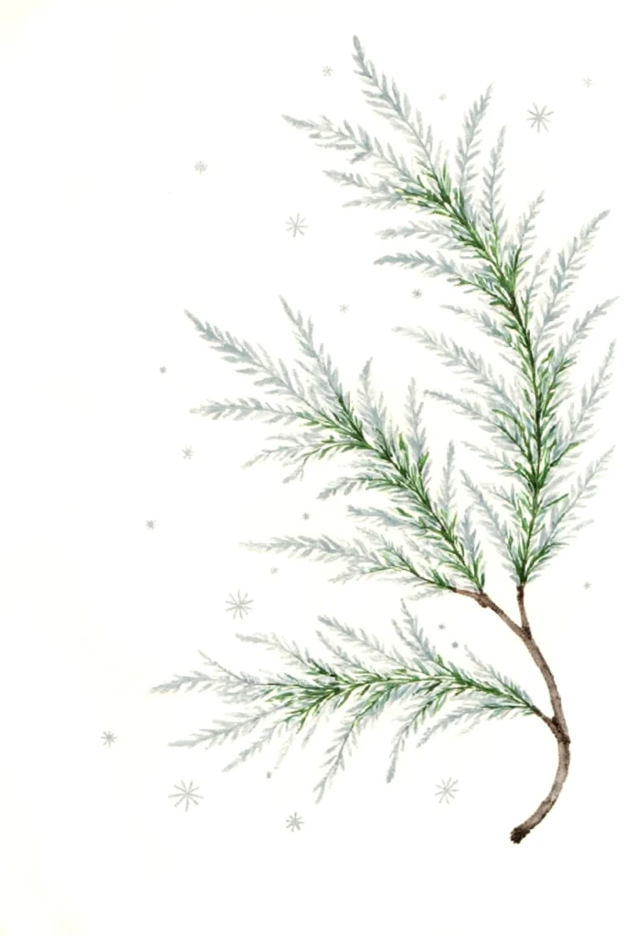 Watercolor illustration of a pine branch with green needles and snowflakes, evoking a winter and holiday theme.