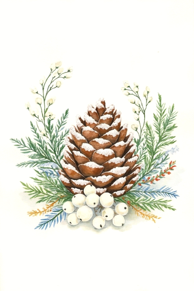Snow-dusted pine cone with foliage and berries, winter-themed botanical illustration.