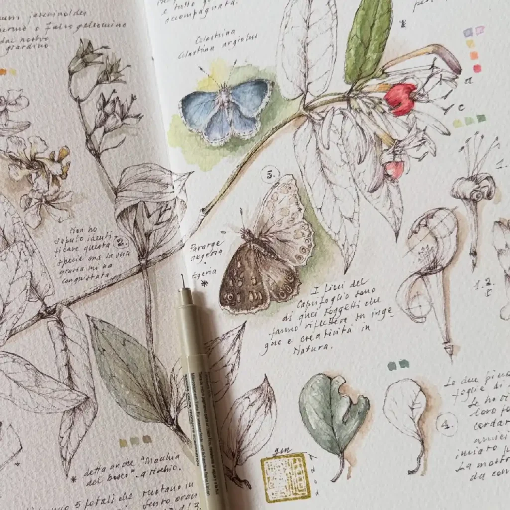 Artistic sketchbook page featuring detailed illustrations of butterflies, plants, and handwritten notes.