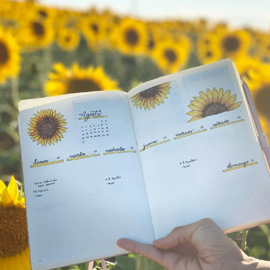 Sunflower-themed bullet journal spread for August, featuring a calendar and weekly layout in a field of sunflowers.