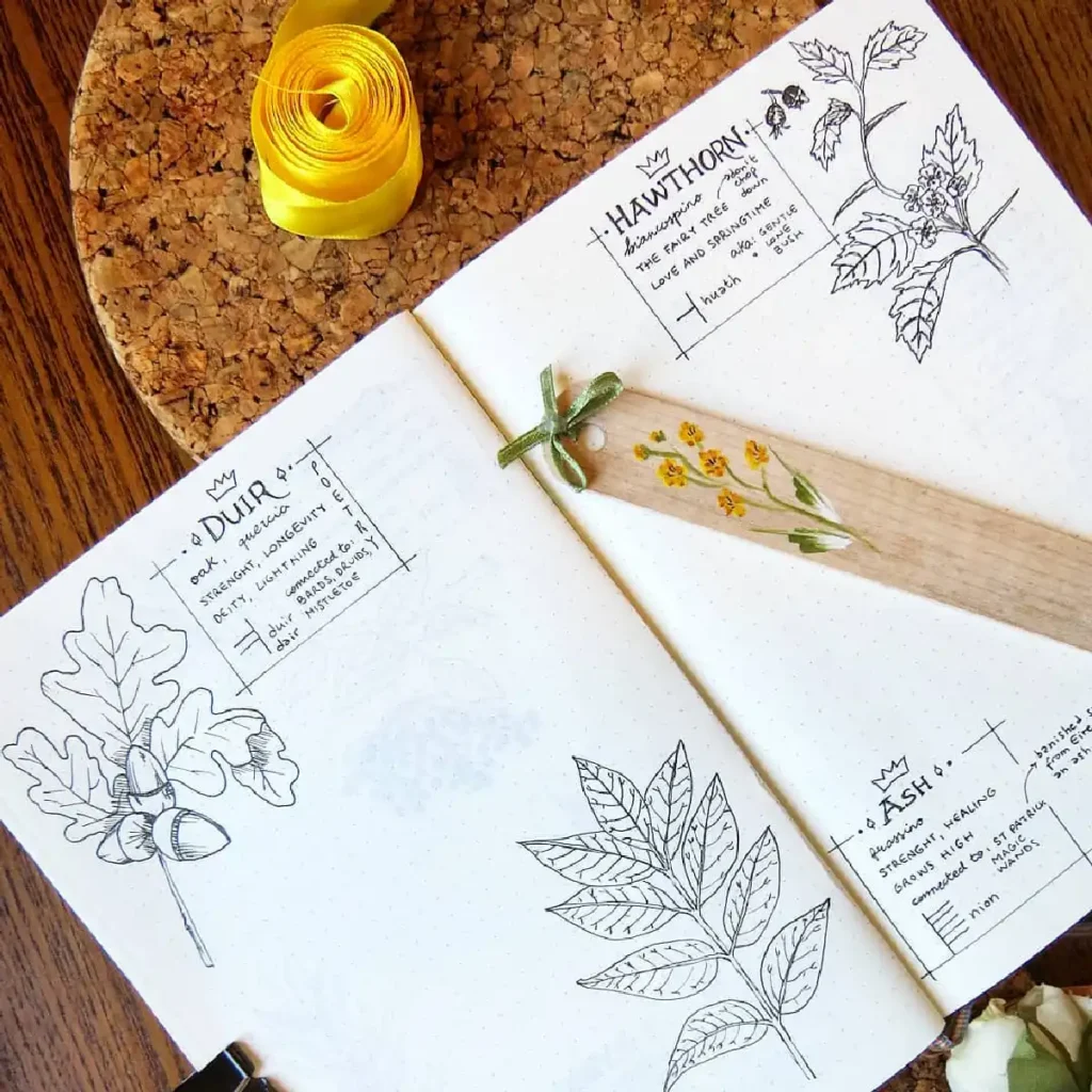Botanical journal featuring sketches of oak, hawthorn, and ash leaves, with dried flowers and decorative ribbon.