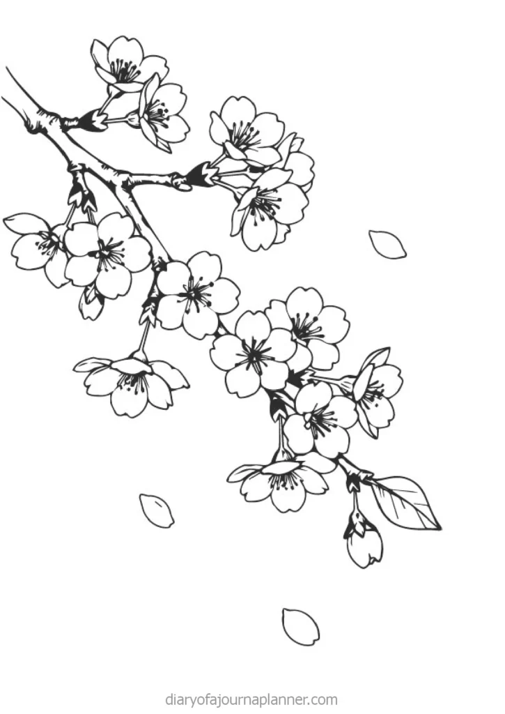 Alt text: Hand-drawn cherry blossom branch with delicate flowers and leaves, featuring falling petals on a white background.
