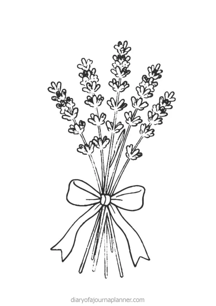 Illustration of a lavender bouquet tied with a ribbon, perfect for floral designs and natural decor concepts.