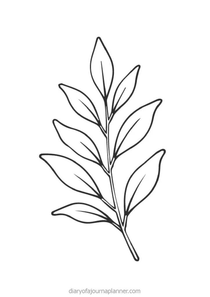 Line art illustration of a green leaf branch with multiple elongated leaves on a white background.